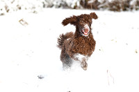 Snow Time 2021